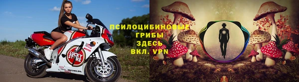 скорость Белокуриха